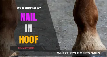 Detecting Hot Nail in Horse Hooves: A Step-by-Step Guide
