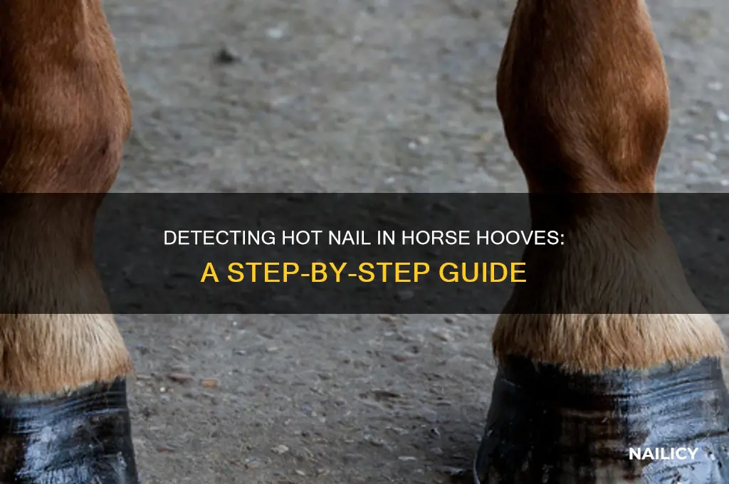how to check for hot nail in hoof