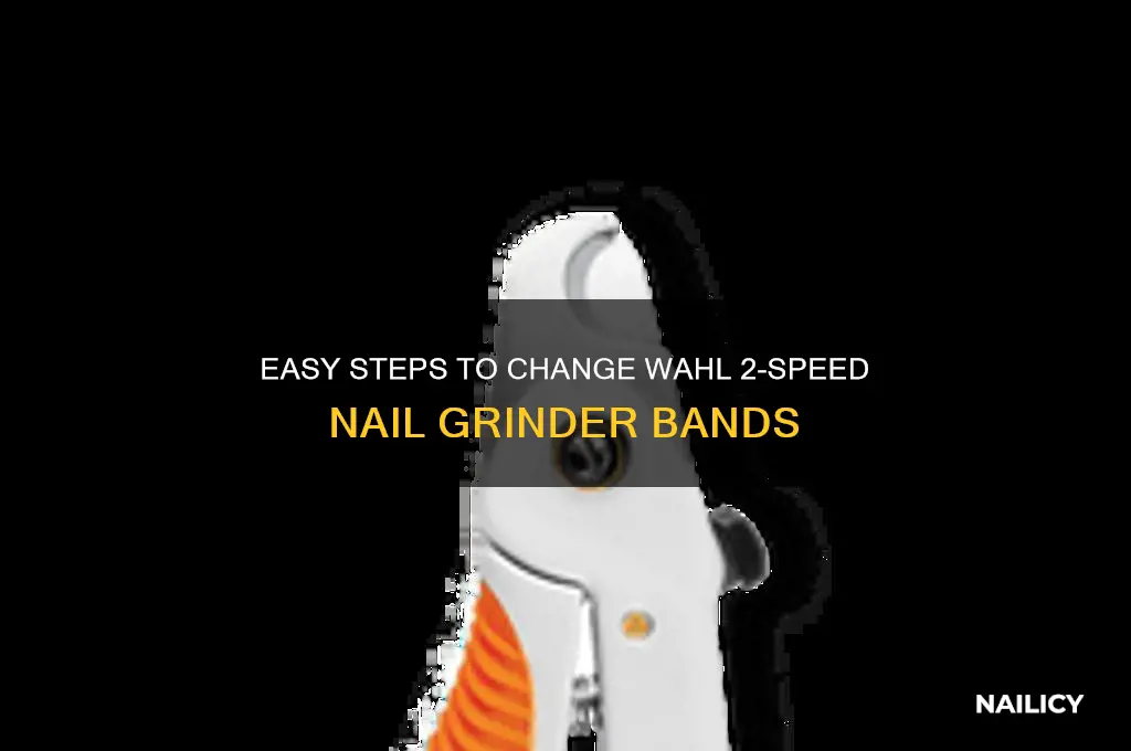 how to chnage wahl 2 speed nail grinder