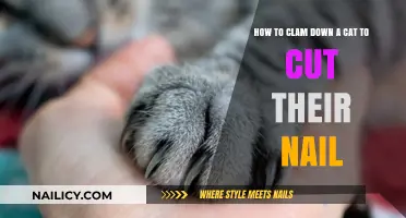 Calm Cat Nail Trimming: Tips and Tricks