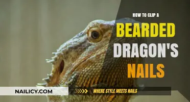 Easy Guide to Safely Trimming Your Bearded Dragon's Nails