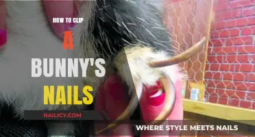 Easy Bunny Nail Care: A Step-by-Step Guide to Clipping Safely
