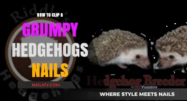 Taming the Prickly Pedicure: Nail Clipping Tips for Grumpy Hedgehogs