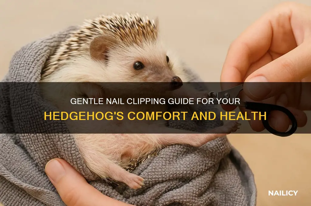 how to clip a hedgehog