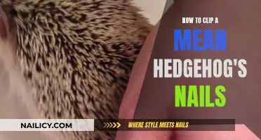 Hedgehog Nail Care: Tips for Trimming a Mean Hedgehog's Claws