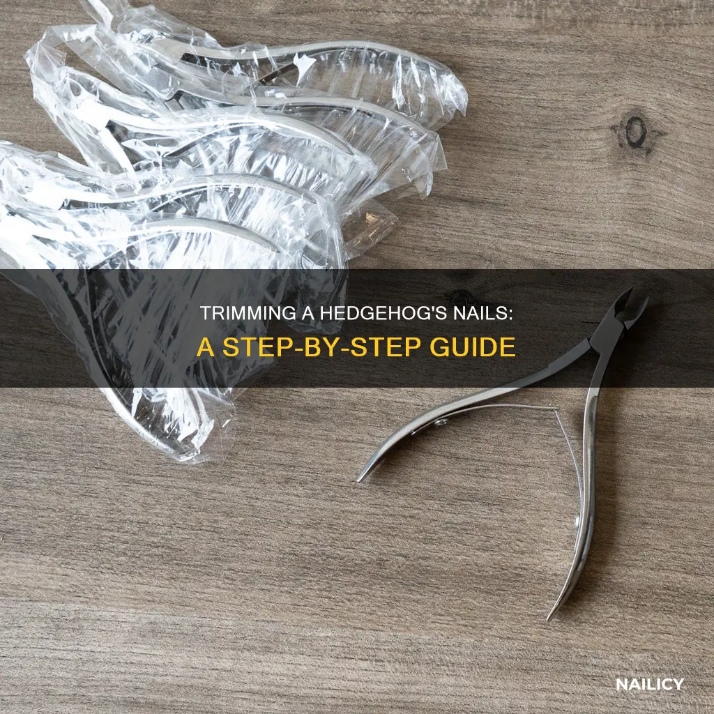 how to clip a mean hedgehog