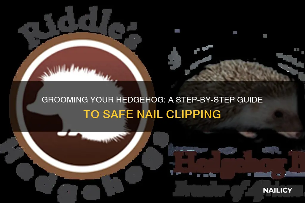 how to clip a meanhedgehog