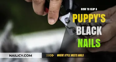 Mastering Puppy Nail Care: Clipping Black Nails Safely and Easily
