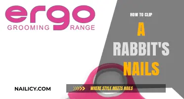 Easy Guide to Safely Clipping Your Rabbit’s Nails at Home