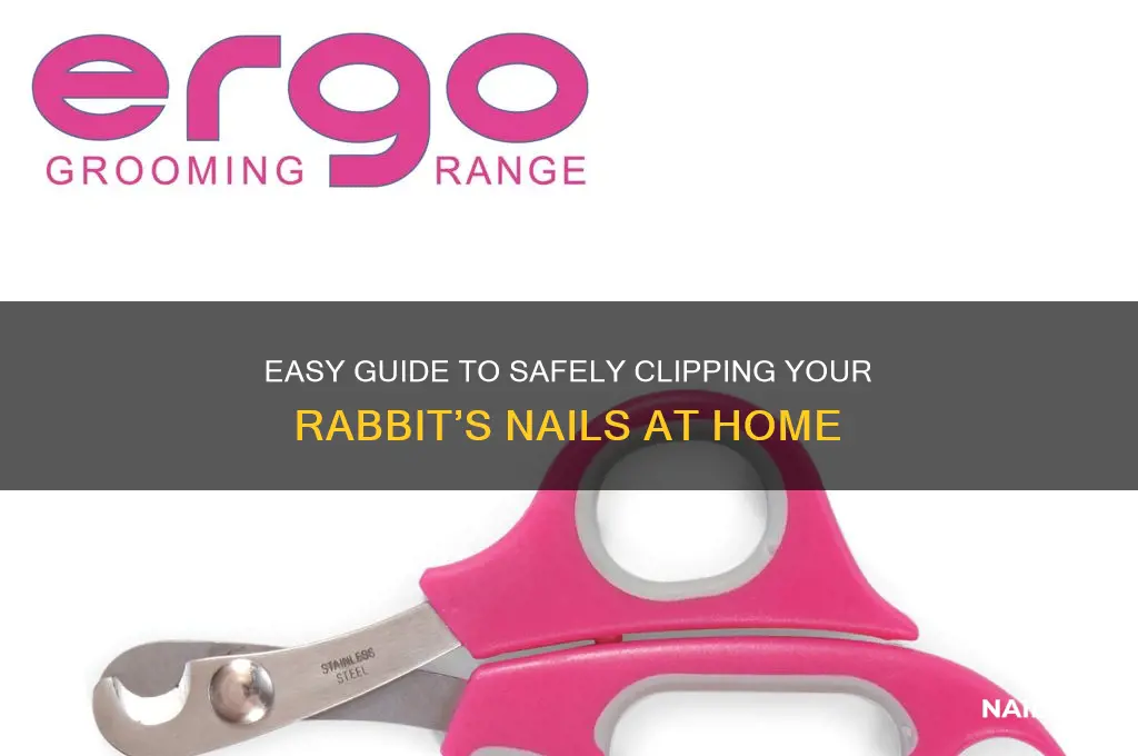 how to clip a rabbit