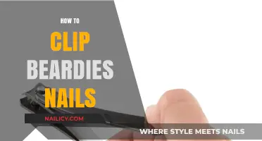Mastering the Art of Clipping Your Bearded Dragon's Nails Safely