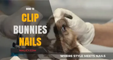 Easy Guide to Safely Clipping Your Bunny’s Nails at Home