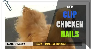 Easy Guide to Safely Trimming Your Chicken’s Nails at Home