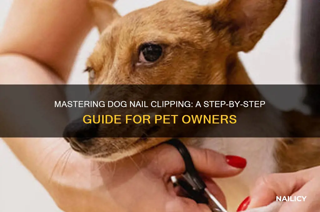 how to clip dod nails