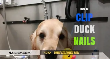 Easy Guide to Trimming Your Duck’s Nails Safely at Home