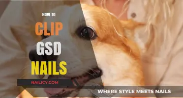 Mastering Nail Clipping for Your German Shepherd: A Step-by-Step Guide