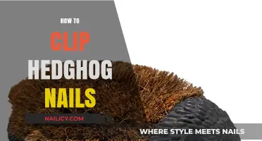 Gentle Guide to Safely Clipping Your Hedgehog’s Nails at Home