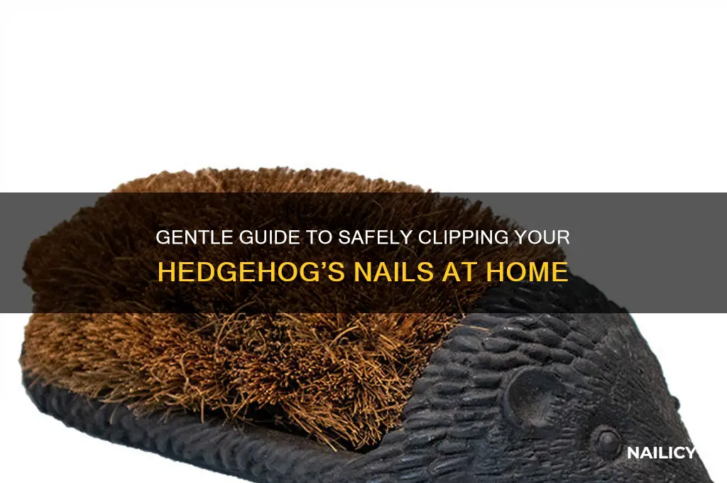 how to clip hedghog nails