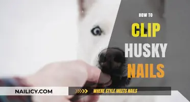 Mastering Husky Nail Care: A Step-by-Step Guide to Safe Clipping