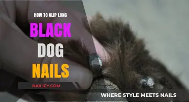 Clipping Black Dog Nails: A Step-by-Step Guide