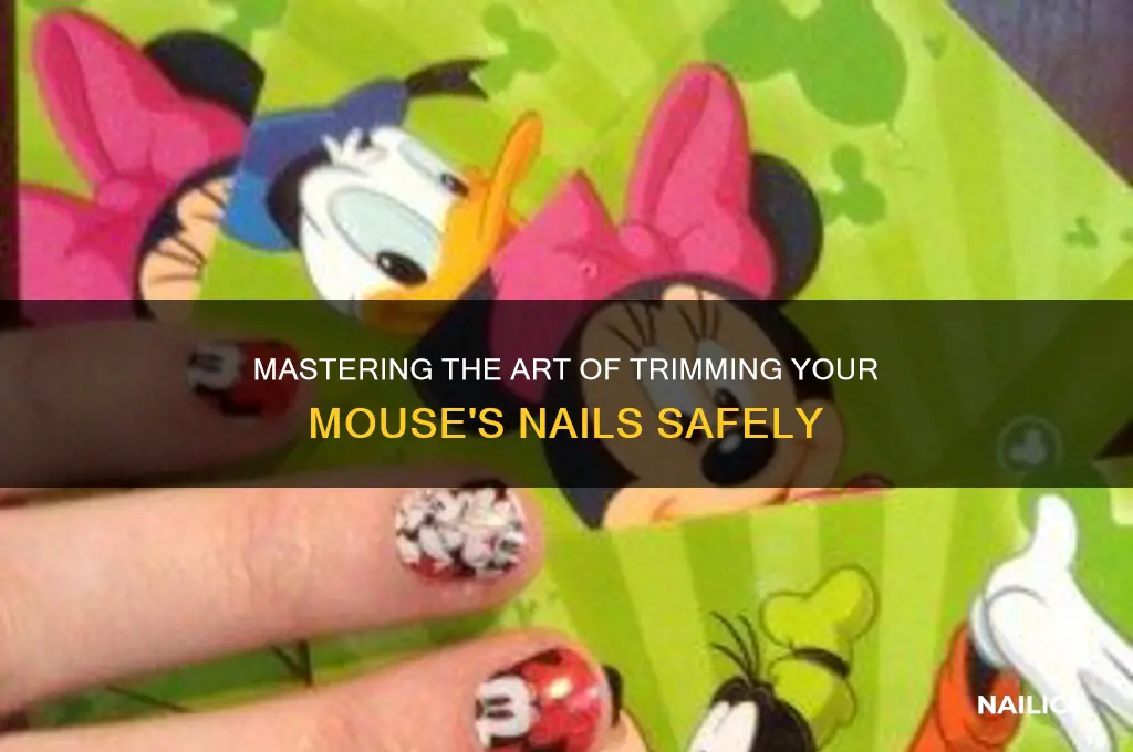 how to clip mouse nails