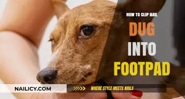 Safely Trimming Ingrown Dog Nails Embedded in Footpads: A Step-by-Step Guide