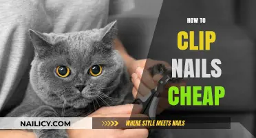 Budget-Friendly Nail Clipping: Simple Tips for Affordable Nail Care