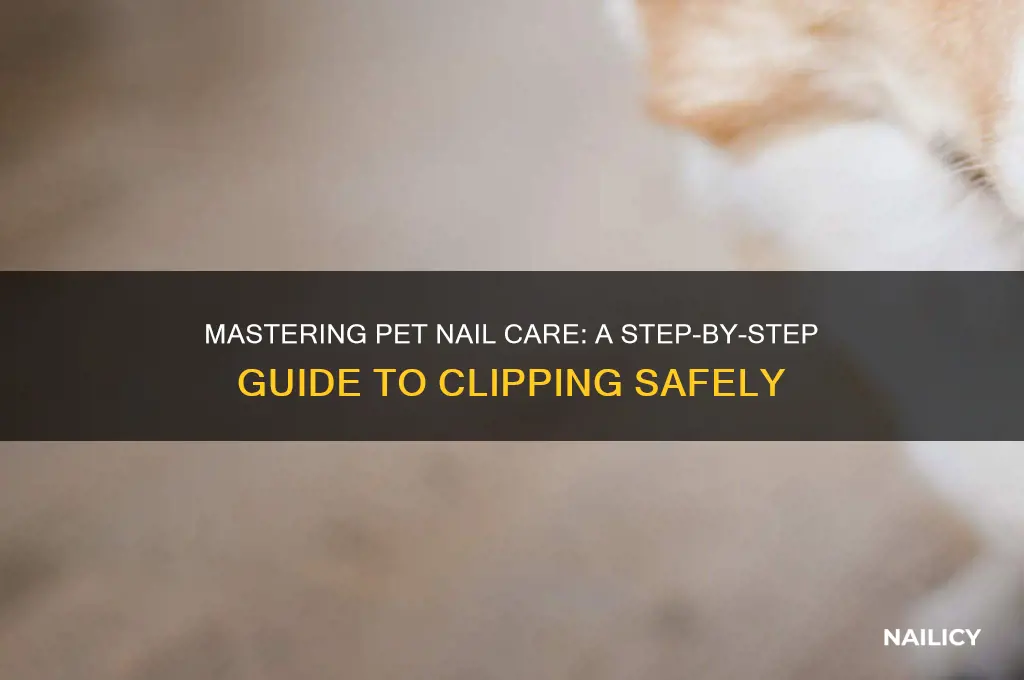 how to clip pet nails