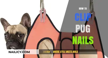 Easy Pug Nail Clipping Guide: Tips for Stress-Free Grooming