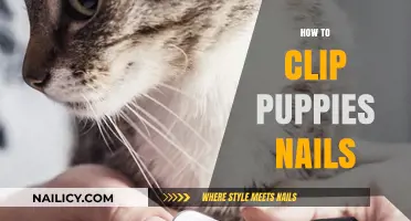 Easy Puppy Nail Clipping Guide: Stress-Free Tips for Happy Paws