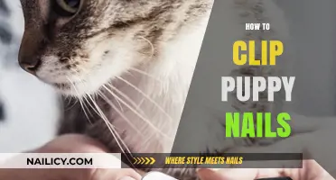 Mastering Puppy Nail Clipping: A Step-by-Step Guide for Pet Owners