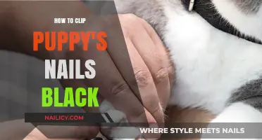 Easy Guide to Clipping Black Puppy Nails Safely at Home