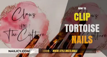 Gentle Nail Care: A Step-by-Step Guide to Clipping Tortoise Nails