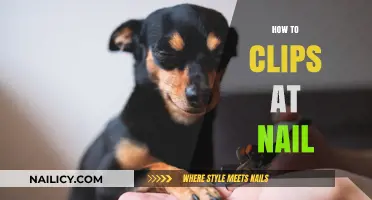Mastering Nail Clipping: A Step-by-Step Guide for Perfect Results