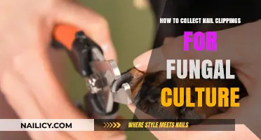 Mastering Nail Clipping Collection for Accurate Fungal Culture Testing