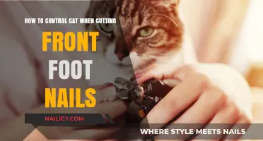 Taming Your Cat's Nails: A Step-by-Step Guide