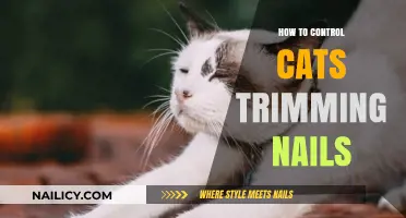 Trimming Cat Nails: Tips and Tricks for Success