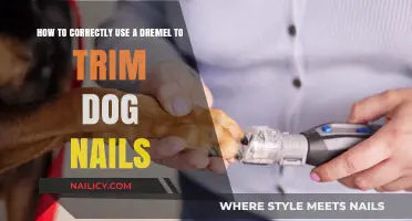 Mastering the Art of Trimming Dog Nails with a Dremel