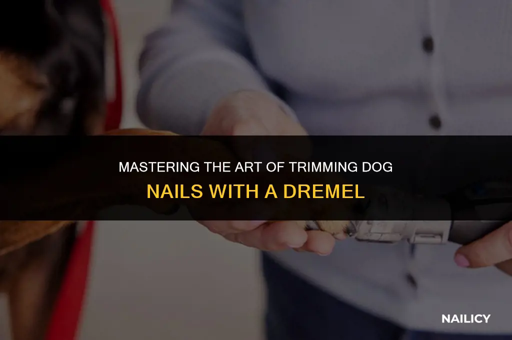 how to correctly use a dremel to trim dog nails