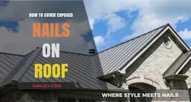 Effective Ways to Conceal and Protect Exposed Nails on Your Roof