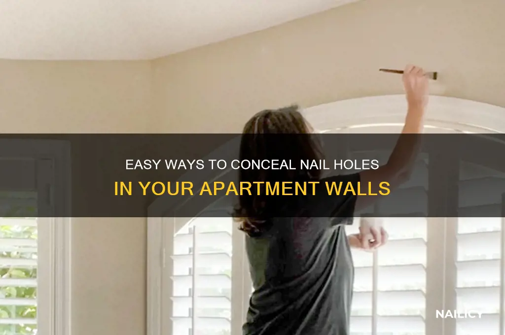 how to cover nail holes in apartment
