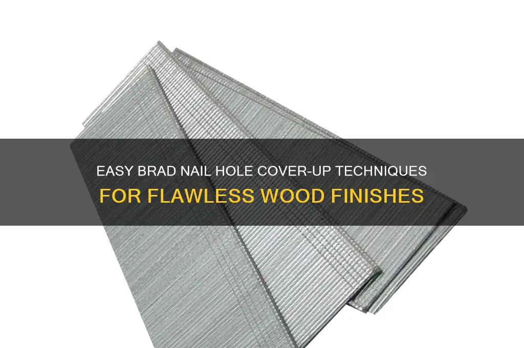 how to cover up brad nail holes