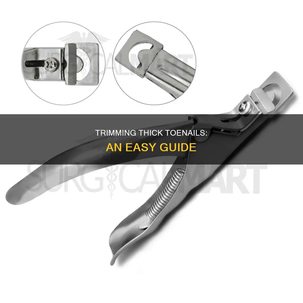 how to cut 1 4 thick fungus toe nail