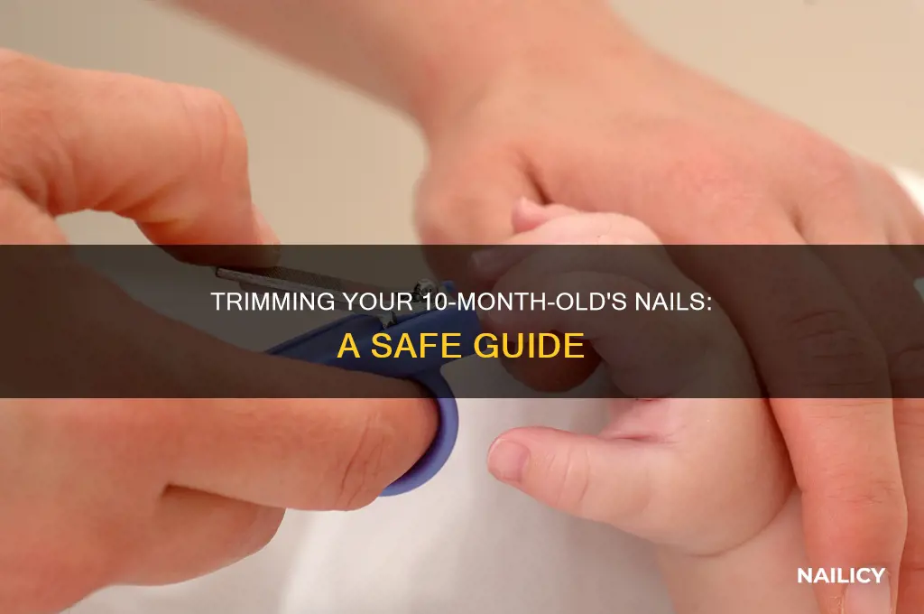 how to cut 10 month old nails