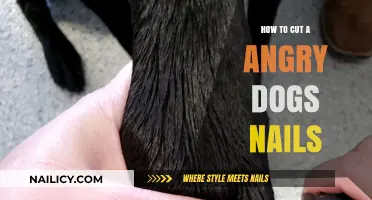 Calmly Trimming an Angry Dog's Nails