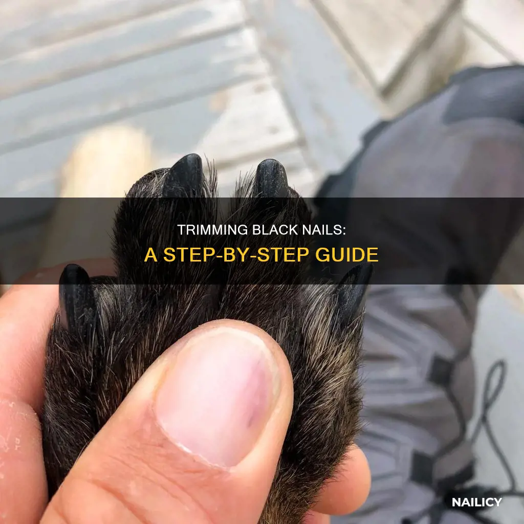 how to cut a black nail