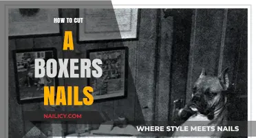 Trimming Your Boxer's Nails: A Step-by-Step Guide