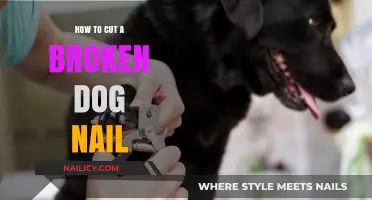 Trimming Your Dog's Broken Nail: A Step-by-Step Guide