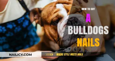 Trimming Your Bulldog's Nails: A Step-by-Step Guide
