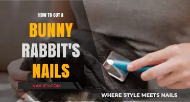 Trimming Your Rabbit's Nails: A Step-by-Step Guide